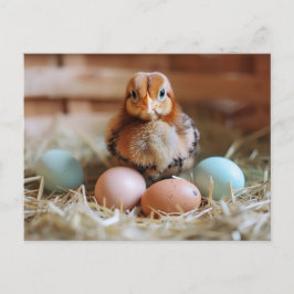Cartão Postal Chicken Next to Easter Nest with Colorful Eggs