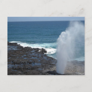 Cartão Postal Chifre Jorrando Kauai, Havaí