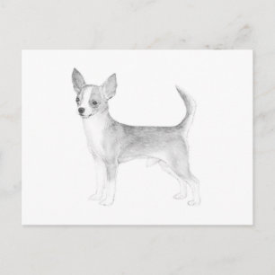Cartão Postal Chihuahua