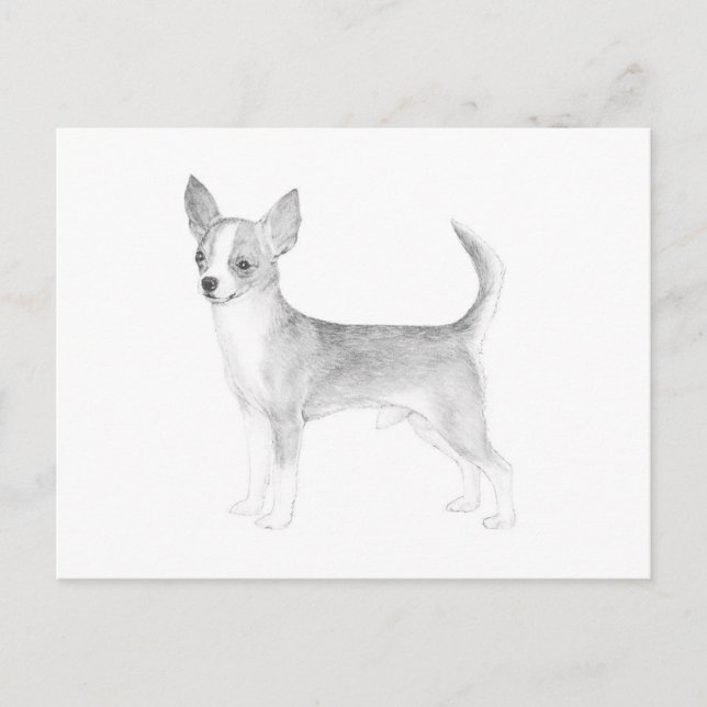 Cartão Postal Chihuahua (Frente)