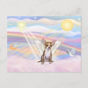 Cartão Postal Chihuahua