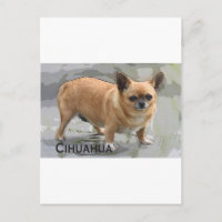 Chihuahua ワ ワ ч и у х а х у а צ י ו ו א ו ו ה
