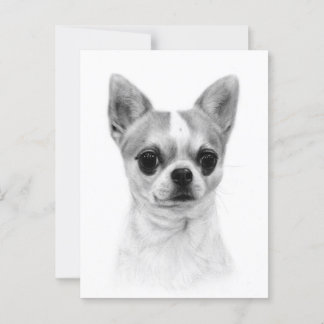 Cartão Postal Chihuahua - Arte de Animais de Estimação Pintada à