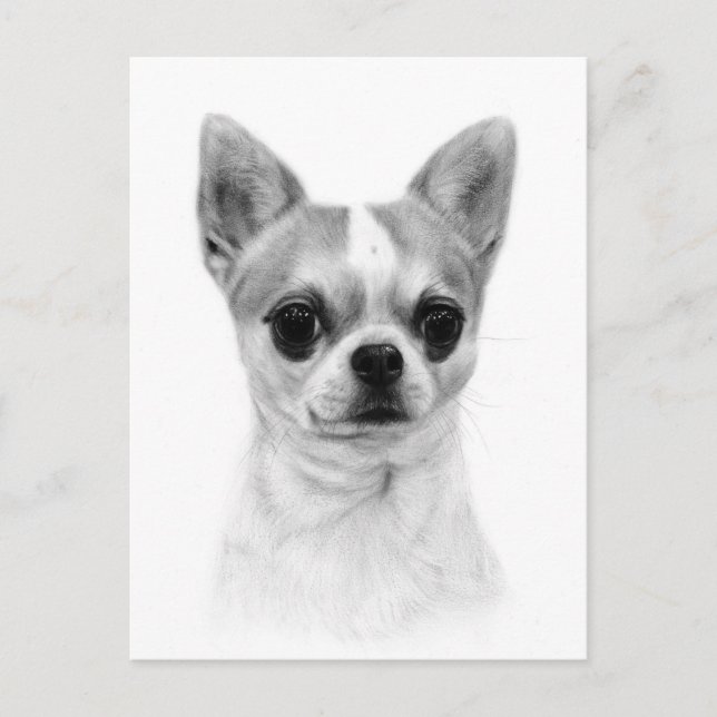 Cartão Postal Chihuahua - Arte de Animais de Estimação Pintada à (Frente)