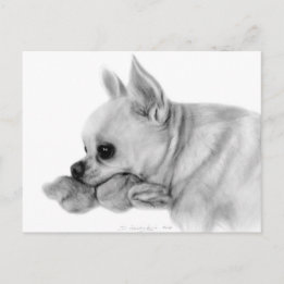 Cartão Postal Chihuahua Bela Pintada À Mão Com Brinquedo Favorit
