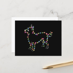 Cartão Postal Chihuahua com Cachorros Leves de Natal Amantes de 
