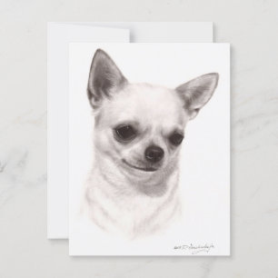 Cartão Postal Chihuahua cuidadosamente Pintado à Mão