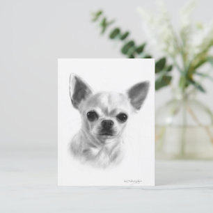 Cartão Postal Chihuahua de curta distância desenhada à mão