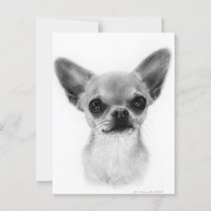 Cartão Postal Chihuahua de Curto Cabelo Desenhado à Mão - Expres