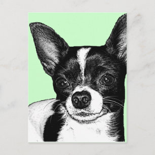 Cartão Postal Chihuahua de Festa