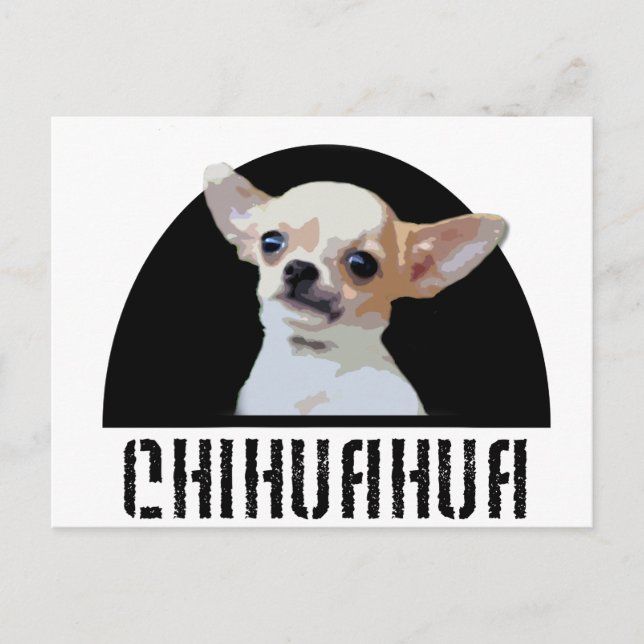 Cartão Postal Chihuahua Dog (Frente)