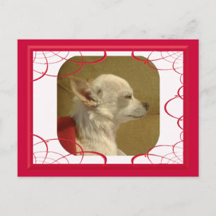 Cartão postal Chihuahua fractal