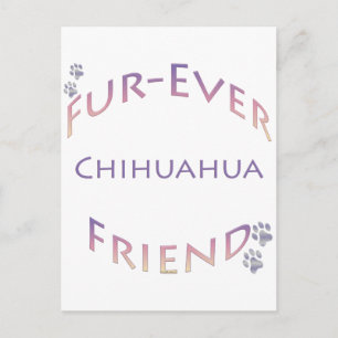 Cartão Postal Chihuahua Fuere