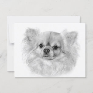 Cartão Postal Chihuahua Intelligence Pintou Retrato Pet