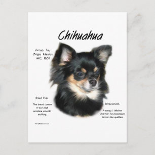 Cartão Postal Chihuahua (longa) Design de História