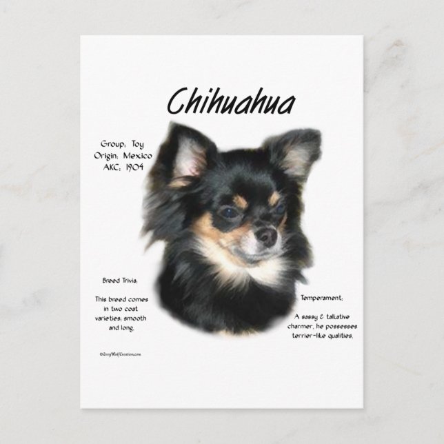 Cartão Postal Chihuahua (longa) Design de História (Frente)