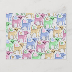Cartão Postal Chihuahua Lover Padrão Colorido