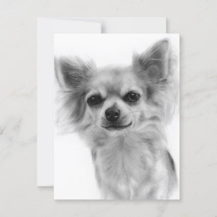 Cartão Postal Chihuahua Mão Pintada Trabalho de arte de Cachorro