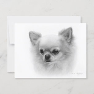 Cartão Postal Chihuahua pintado à Mão com Olhos Cansados
