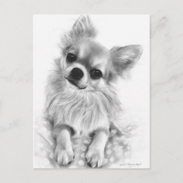 Cartão Postal Chihuahua Pintado Com Mão De Bolinhas (Frente)