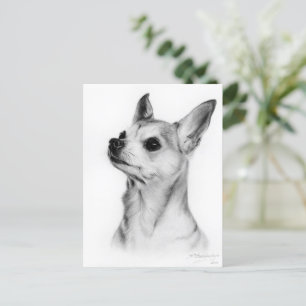 Cartão Postal Chihuahua Pintado pela Mão