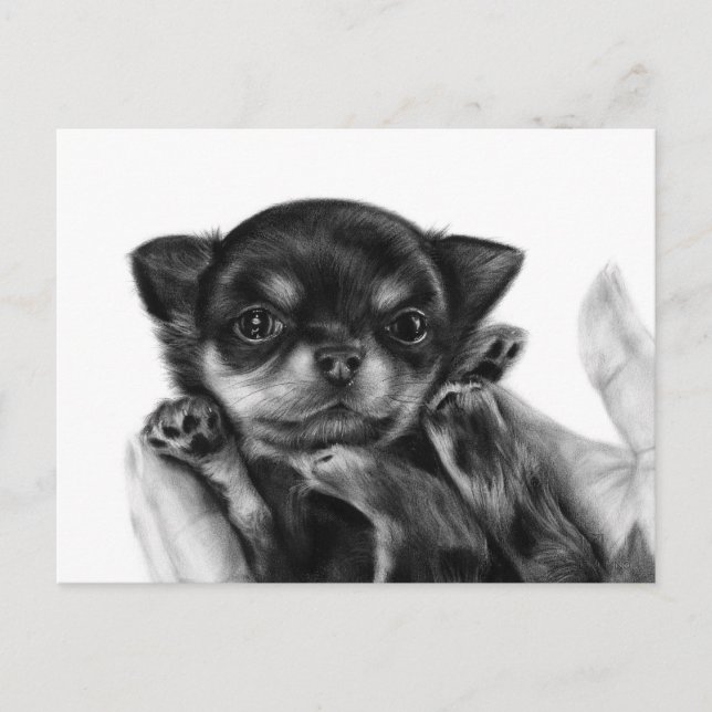 Cartão Postal Chihuahua Puppy Mão Pintada Trabalho de arte (Frente)