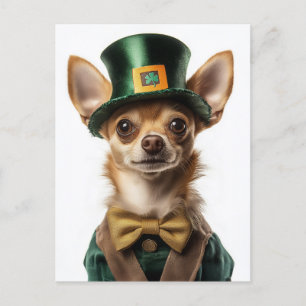 Cartão Postal Chihuahua vestiu Rua de Leprechaun. Dia de Patrick