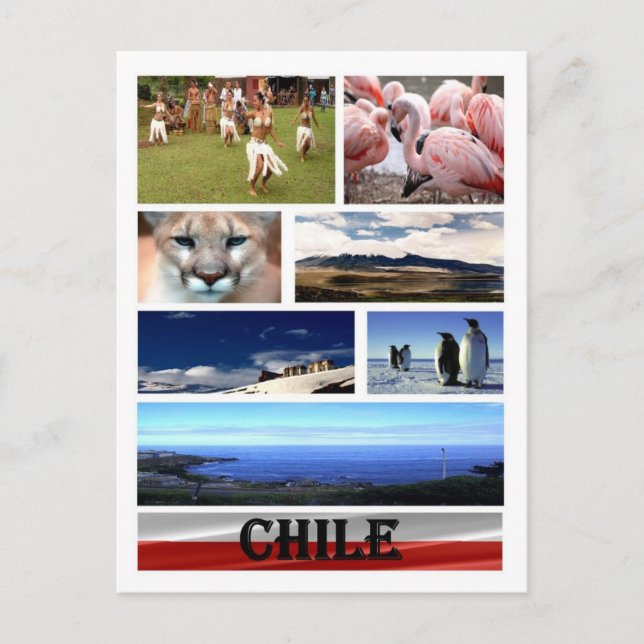 Cartão Postal Chile - Mosaico - (Frente)