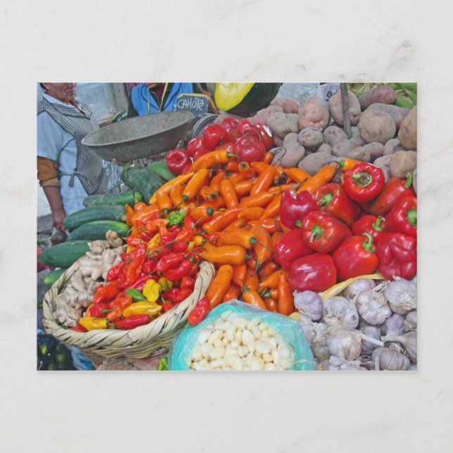 Cartão Postal Chiles e mais (Frente)