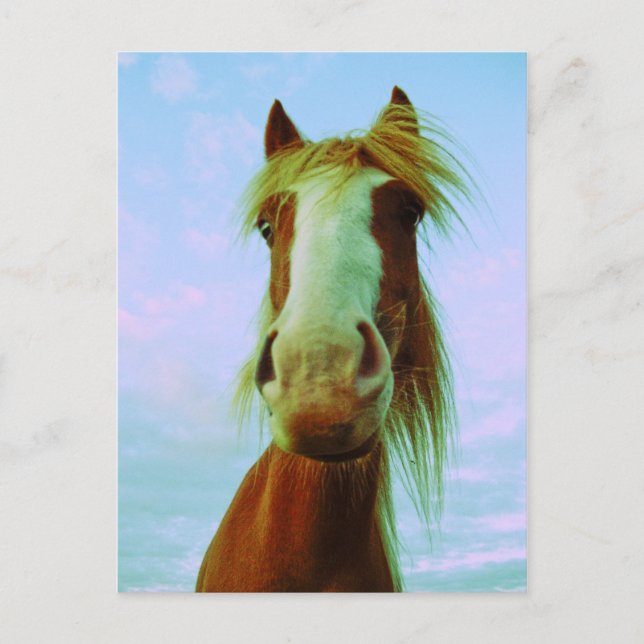 Cartão Postal Chili (Frente)