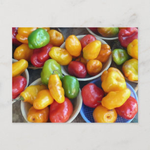 CARTÃO POSTAL CHILIES