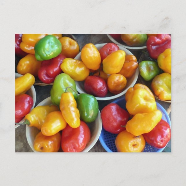 CARTÃO POSTAL CHILIES (Frente)