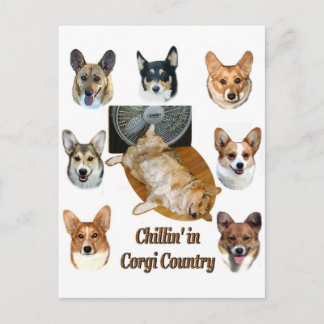 Cartão Postal Chillin' no País Corgi