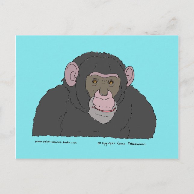 Cartão Postal Chimpanzé (Frente)