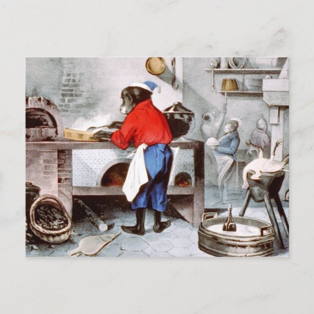 Cartão Postal Chimpanzé (Frente)