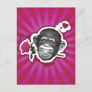 Cartão Postal Chimpanzé com Rosa na boca