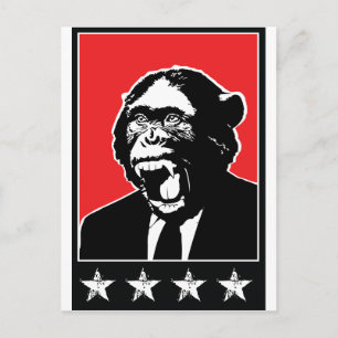 Cartão Postal Chimpanzé do Business Suite