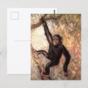 Cartão Postal Chimpanzé por CE Swan, Animais Selvagens da Selva
