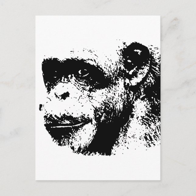 Cartão Postal Chimpanzé Preto e Branco Pop Art (Frente)