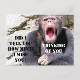 Cartão Postal Chimpanzee_