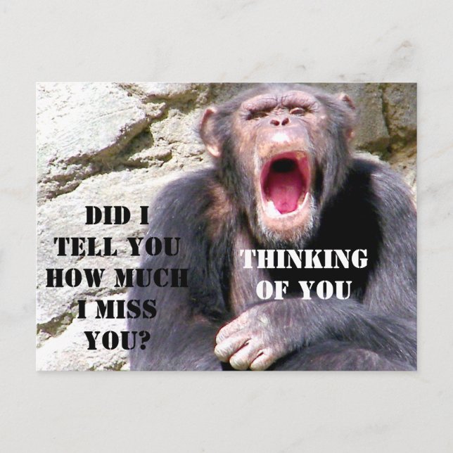 Cartão Postal Chimpanzee_ (Frente)