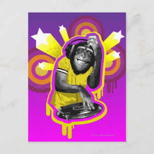 Cartão Postal Chimpanzee DJ