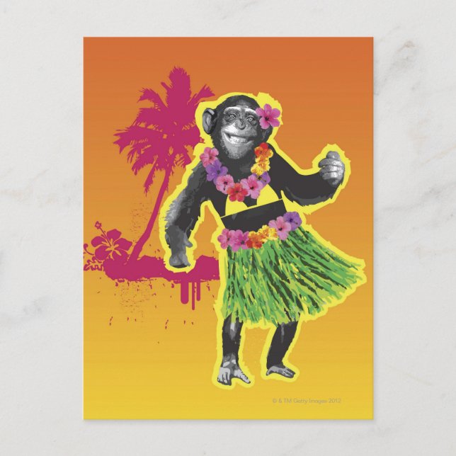 Cartão Postal Chimpanzee Hula Dancing (Frente)