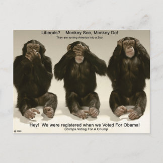 Cartão Postal Chimps Para Uma Bomba