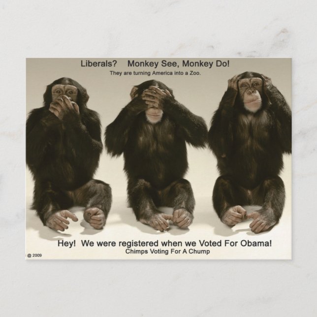 Cartão Postal Chimps Para Uma Bomba (Frente)