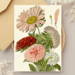 Cartão Postal China Asters - Exquisite Vintage Floral Botânica