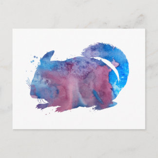 Cartão Postal Chinchilla