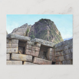 Cartão Postal Chinchilla em Machu Picchu, Peru