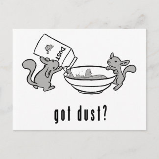 Cartão Postal Chinchilla Got Dust Postcard