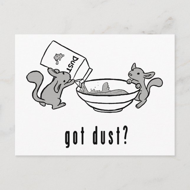 Cartão Postal Chinchilla Got Dust Postcard (Frente)